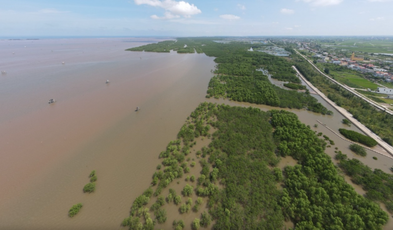Tỉnh Thái Bình bị yêu cầu trả lời vụ ‘xóa sổ’ hơn 11.000ha khu bảo tồn thiên nhiên Tiền Hải