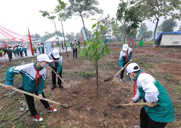 Trồng cây gây rừng: Bộ TN&MT sẽ tôn vinh các sáng kiến, cách làm hay