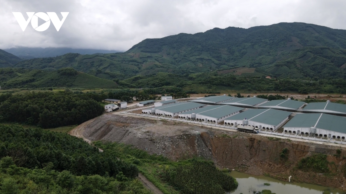 Người dân Văn Yên, Yên Bái tố trại lợn phát tán mùi hôi thối