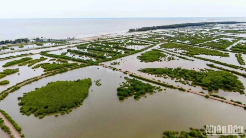 Thái Bình: Khu bảo tồn thiên nhiên đất ngập nước Tiền Hải có diện tích 12.500ha