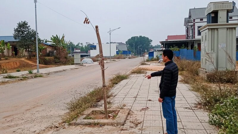 Thái Nguyên: Vắng bóng cây xanh tại các khu tái định cư ở thành phố Phổ Yên