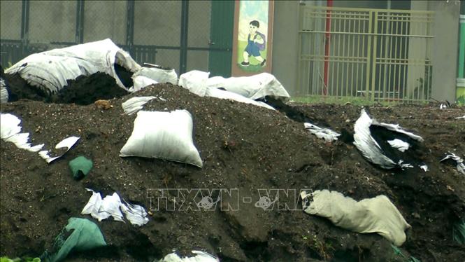Thanh Hóa: Ô nhiễm môi trường từ hoạt động kinh doanh, chế biến hải sản