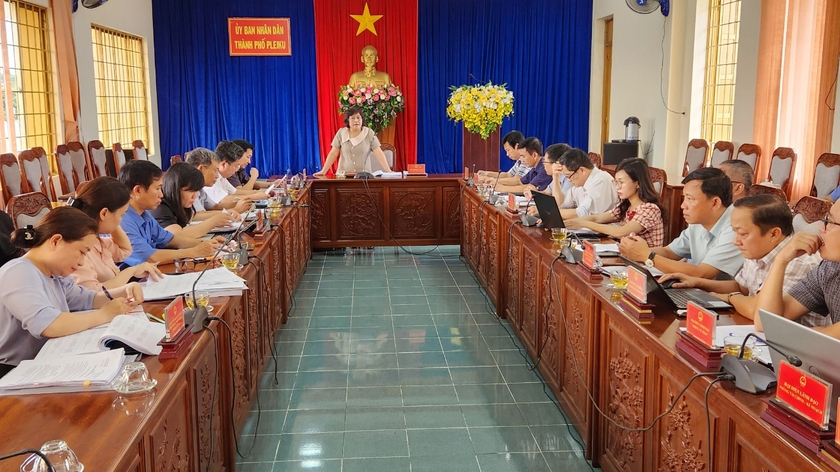 Pleiku phát hiện 58 vụ vi phạm trong lĩnh vực đất đai