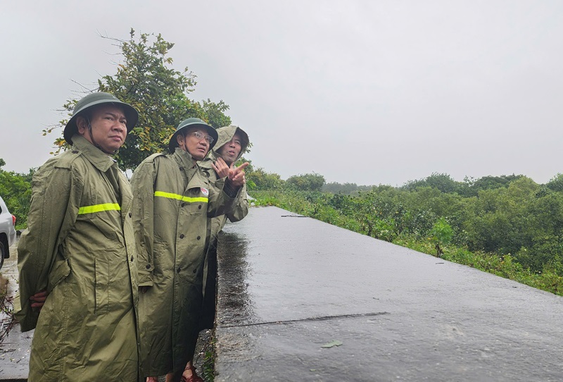 Thiệt hại ban đầu do bão số 3 tại Quảng Ninh, Hải Phòng
