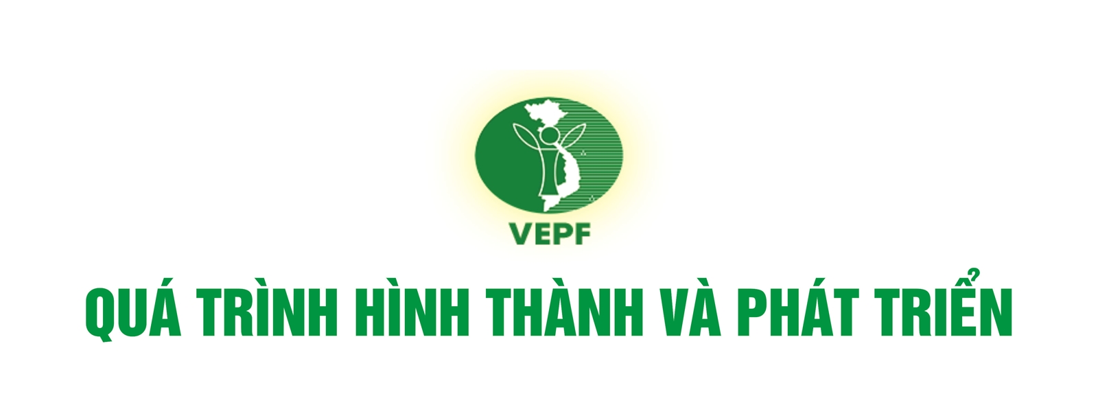 Quỹ Bảo vệ Môi trường Việt Nam: Hành trình 20 năm vì sự phát triển bền vững đất nước