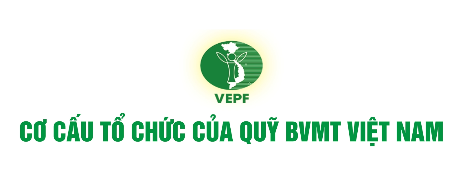 Quỹ Bảo vệ Môi trường Việt Nam: Hành trình 20 năm vì sự phát triển bền vững đất nước