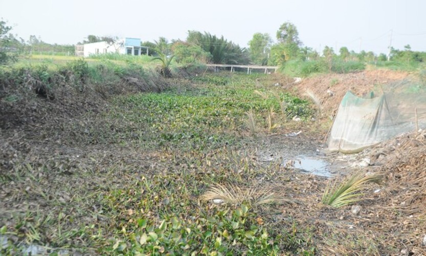 Miền Tây chuẩn bị đón đợt xâm nhập mặn sâu