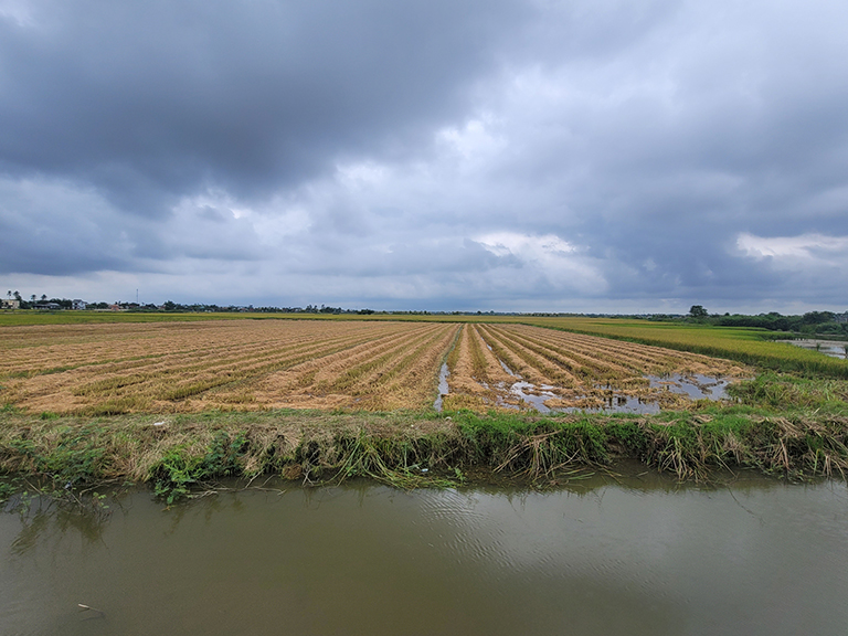 Thừa Thiên Huế: Nhiều khó khăn trong việc hạn chế người dân đốt rơm rạ sau thu hoạch lúa
