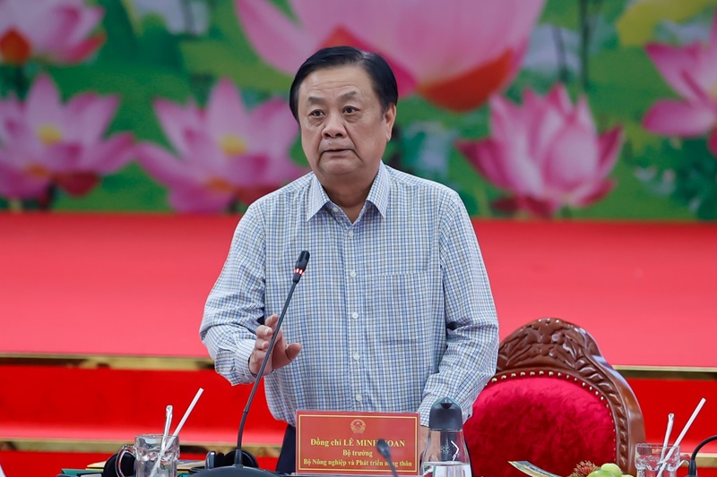 Thủ tướng: 5 định hướng, 11 nhiệm vụ để tạo 'cuộc cách mạng cho cây lúa'