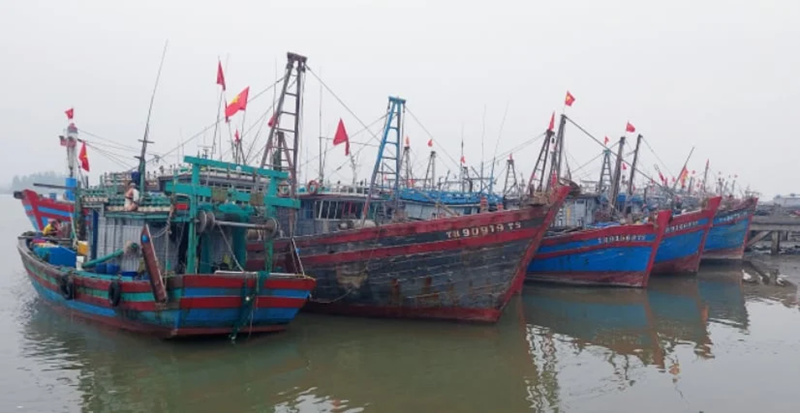 Thứ trưởng Phùng Đức Tiến: Chống khai thác IUU phải từ cơ sở