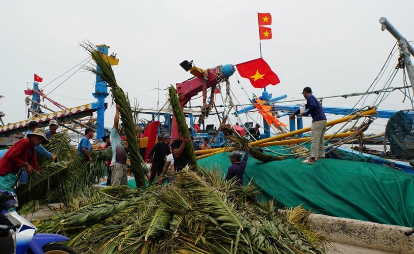 Phải quyết liệt gỡ 'thẻ vàng' IUU, không chủ quan với dịch tả heo Châu Phi