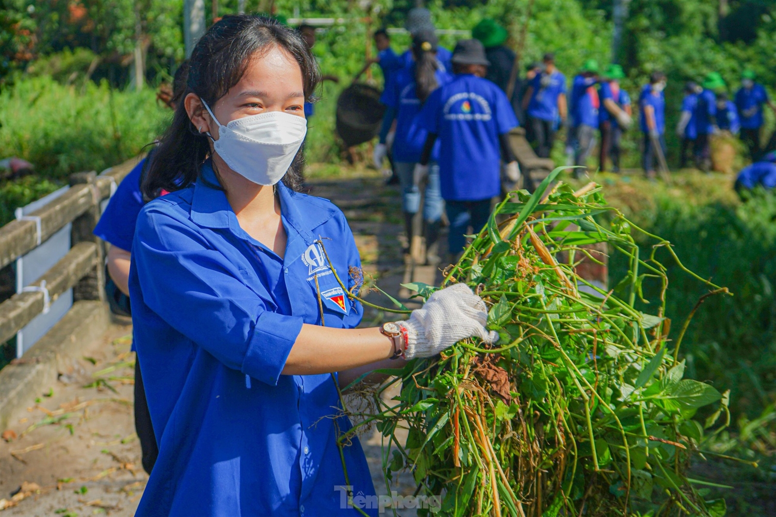Du học sinh Malaysia cùng đoàn viên thanh niên TPHCM trồng cây, nạo vét kênh rạch
