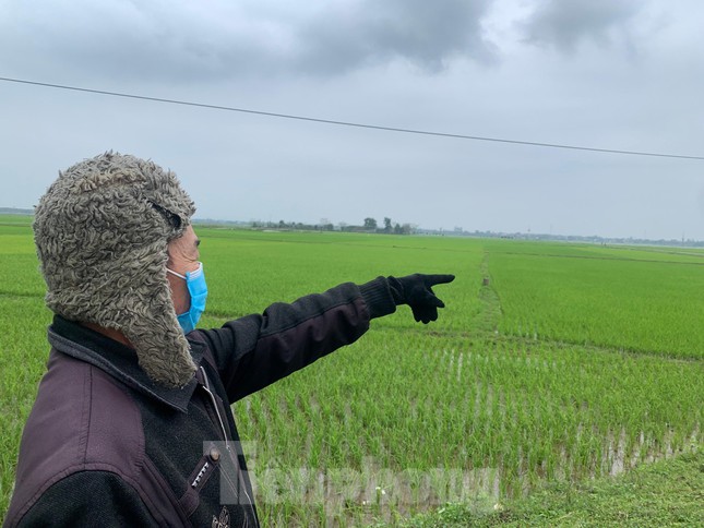 Dân sửng sốt vì đất nông thôn có giá khởi điểm 'trên trời'