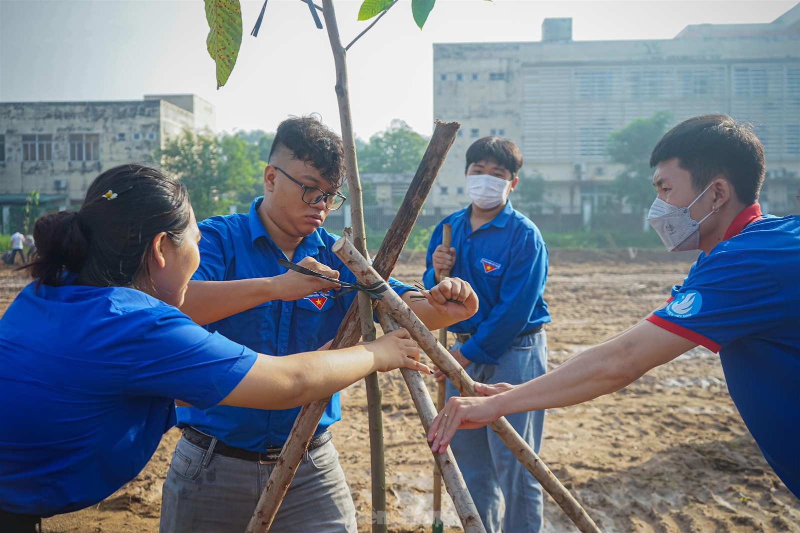 Du học sinh Malaysia cùng đoàn viên thanh niên TPHCM trồng cây, nạo vét kênh rạch