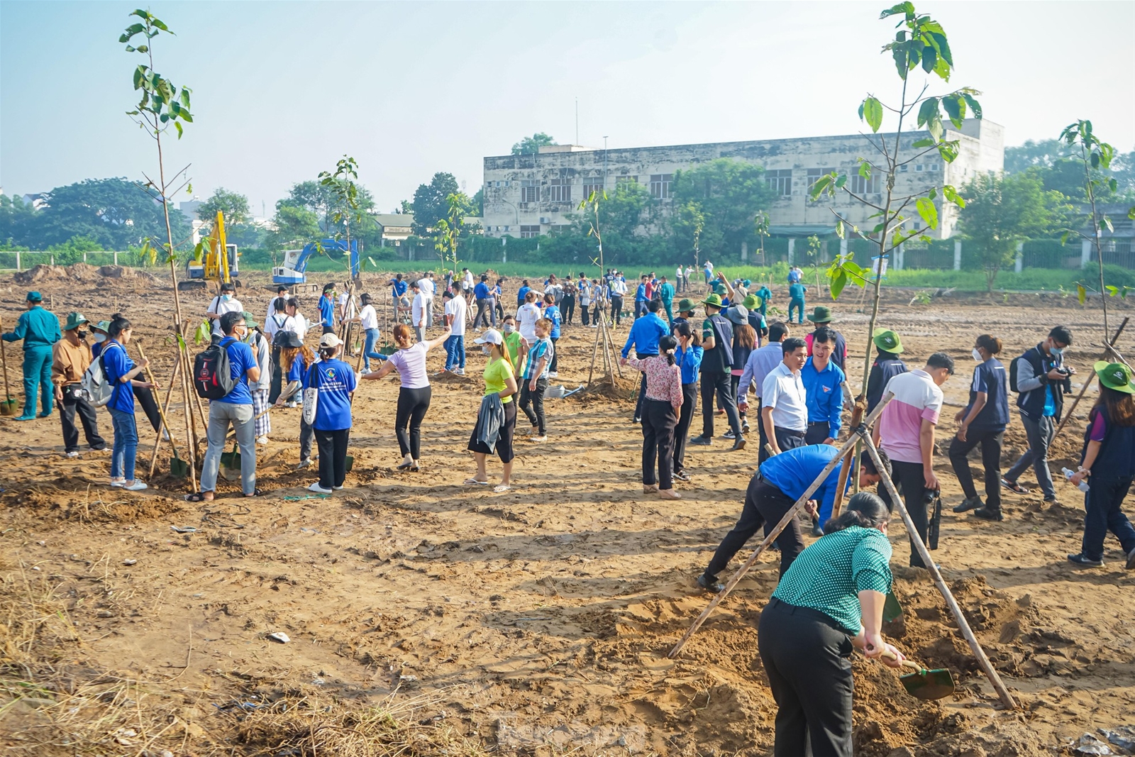 Du học sinh Malaysia cùng đoàn viên thanh niên TPHCM trồng cây, nạo vét kênh rạch