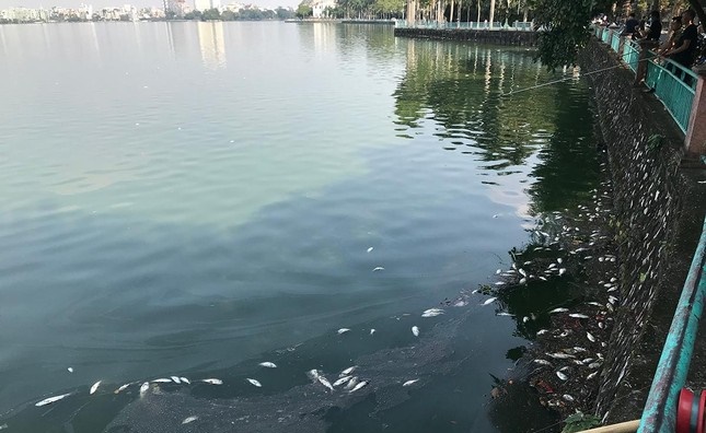 Kết quả quan trắc nước hồ Tây sau hiện tượng cá chết Hồ Tây