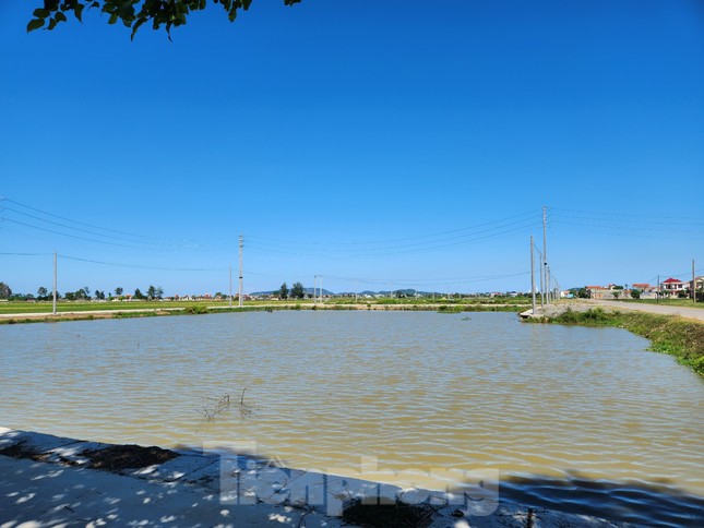 Phó Chủ tịch huyện nói gì về việc em ruột trúng đấu giá 23 lô đất?