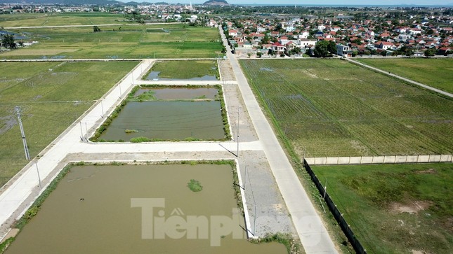 Phó Chủ tịch huyện nói gì về việc em ruột trúng đấu giá 23 lô đất?