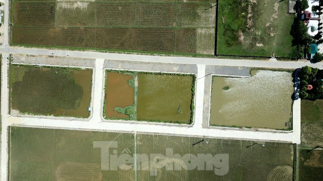 Phó Chủ tịch huyện nói gì về việc em ruột trúng đấu giá 23 lô đất?