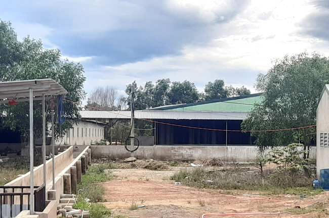 Phạt doanh nghiệp xả thải gây ô nhiễm môi trường hơn 227 triệu đồng