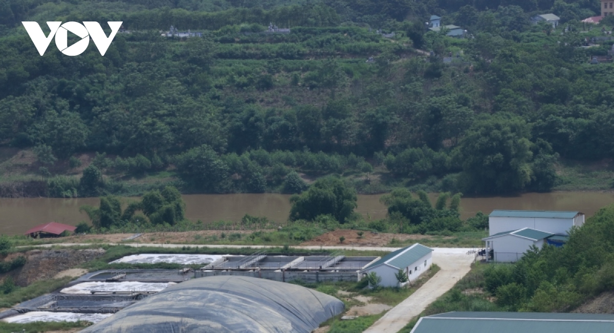 Trang trại lợn công nghệ cao lại gây mùi hôi thối