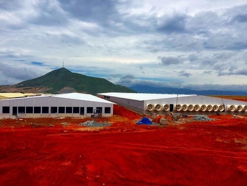 Bình Thuận: Yêu cầu giám sát ô nhiễm môi trường trang trại heo khủng trên đồi cao