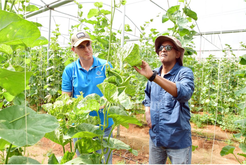 Trà Vinh: Chiến lược phát triển nông nghiệp thông minh và thích ứng với biến đổi khí hậu