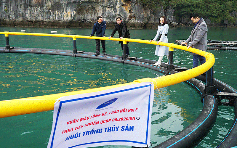 Ám ảnh rác thải nhựa đại dương và WWF kêu gọi cộng đồng chung tay