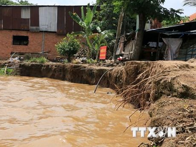 Đồng Tháp công bố tình huống khẩn cấp với sạt lở bờ sông Tiền