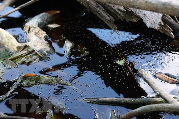 Tây Ninh: Bãi rác quá tải, bốc mùi hôi thối, gây ô nhiễm môi trường