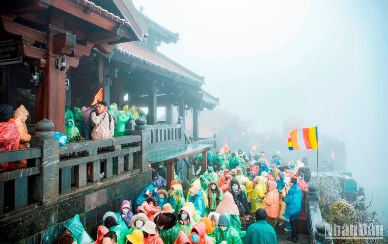 Sương muối phủ trắng đỉnh Phan Xi Păng