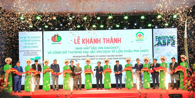 Công bố lưu hành thương mại vacxin dịch tả lợn Châu Phi Dacovac - ASF2