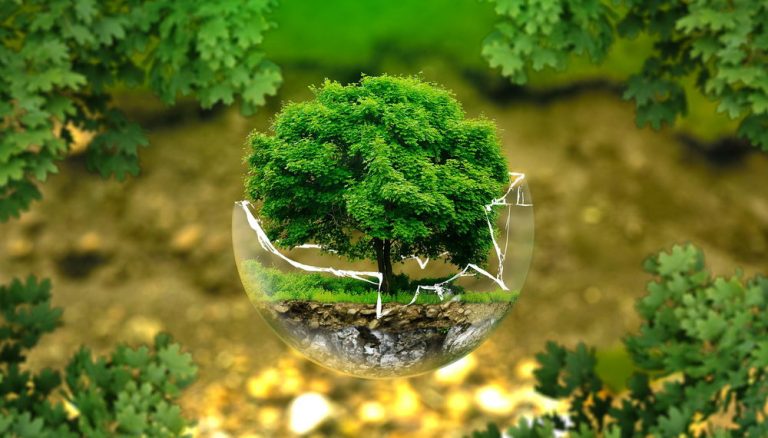 Xã hội hóa nguồn lực để bảo vệ môi trường, ứng phó với biến đổi khí hậu và bảo tồn đa dạng sinh học