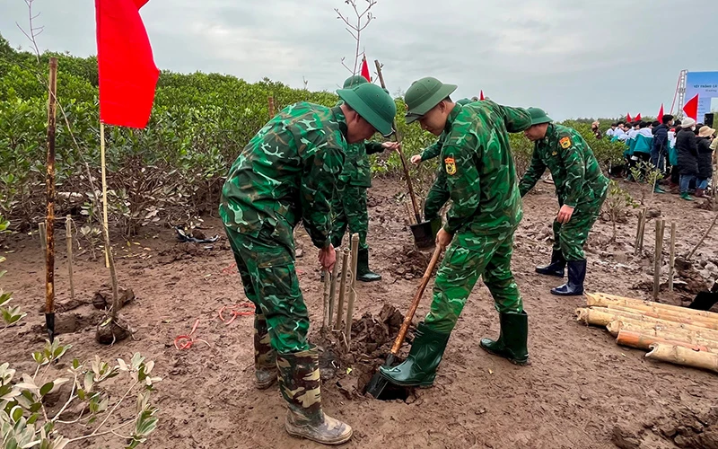 Phát huy vai trò các vùng đất ngập nước ở Việt Nam