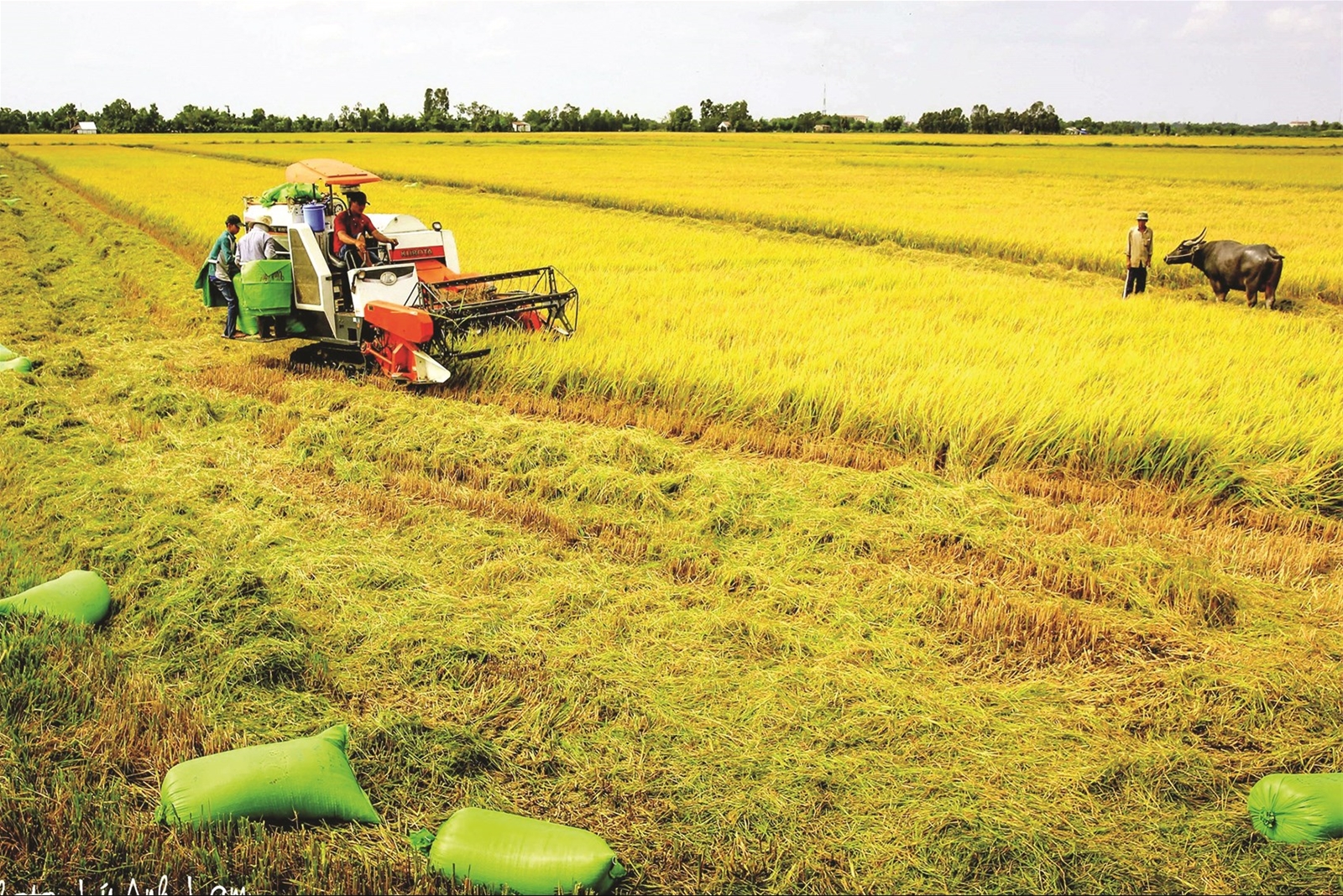 Vĩnh Long phấn đấu là tỉnh phát triển toàn diện, văn minh, hiện đại