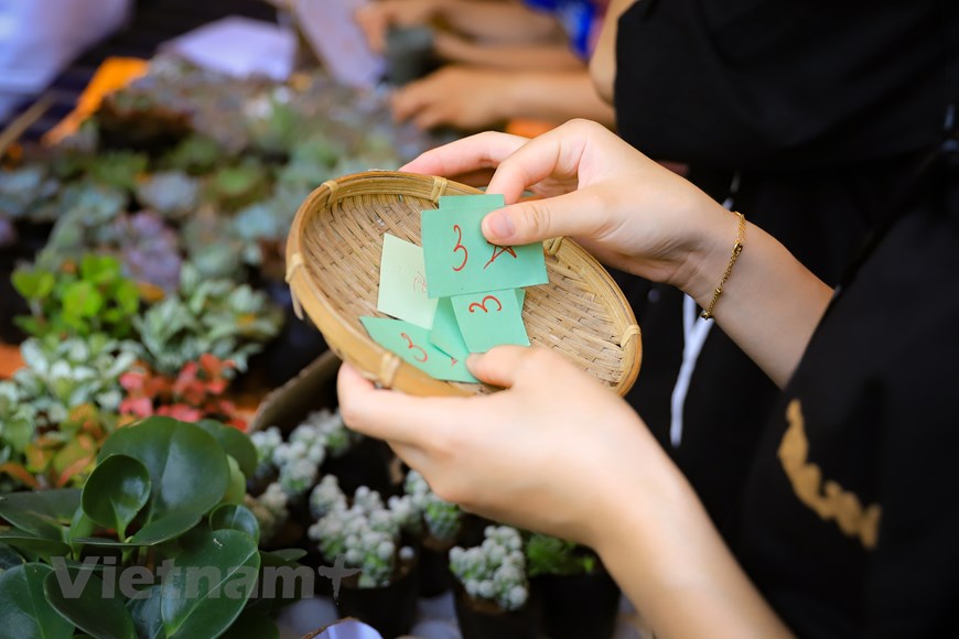 Hoạt động 'Đổi rác lấy cây' lan tỏa thông điệp bảo vệ môi trường