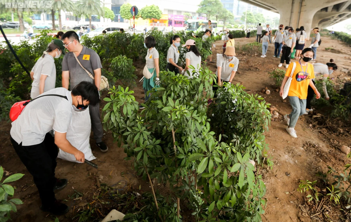 Hơn 500 tình nguyện viên Hà Nội dọn rác, làm sạch đường phố Thủ đô