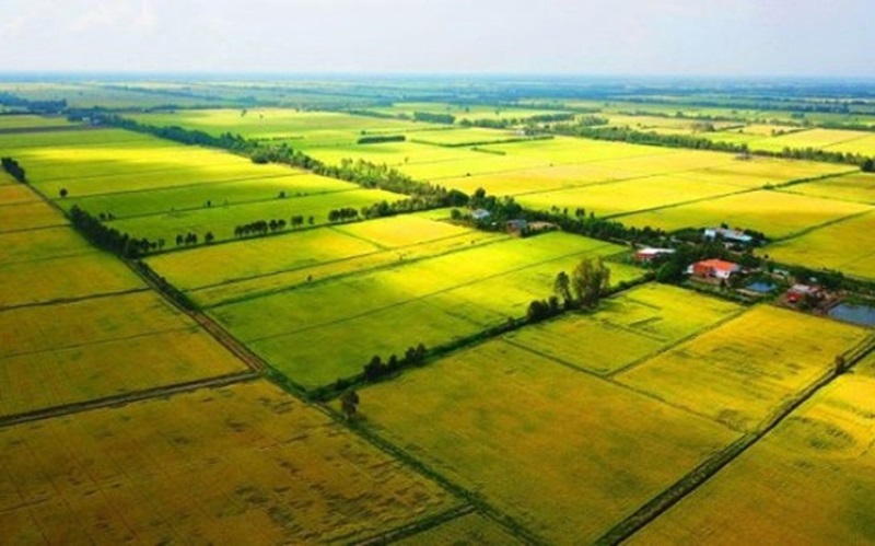 Bà Rịa - Vũng Tàu sẵn sàng cho kiểm kê đất đai từ ngày 1-8