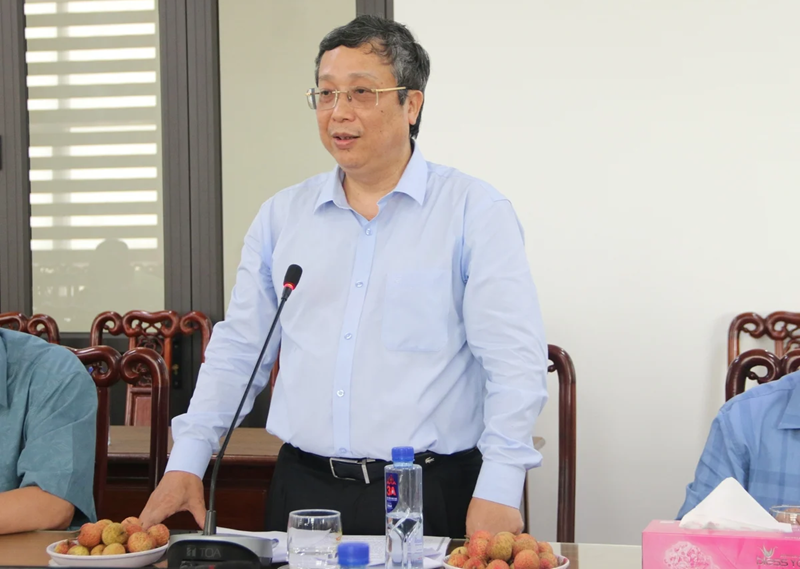 Hải Phòng và Thái Bình được mùa vụ lúa Xuân 2025