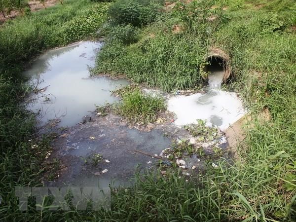 Đắk Nông: Xả thải gây ô nhiễm, một hộ dân bị phạt hơn 250 triệu đồng