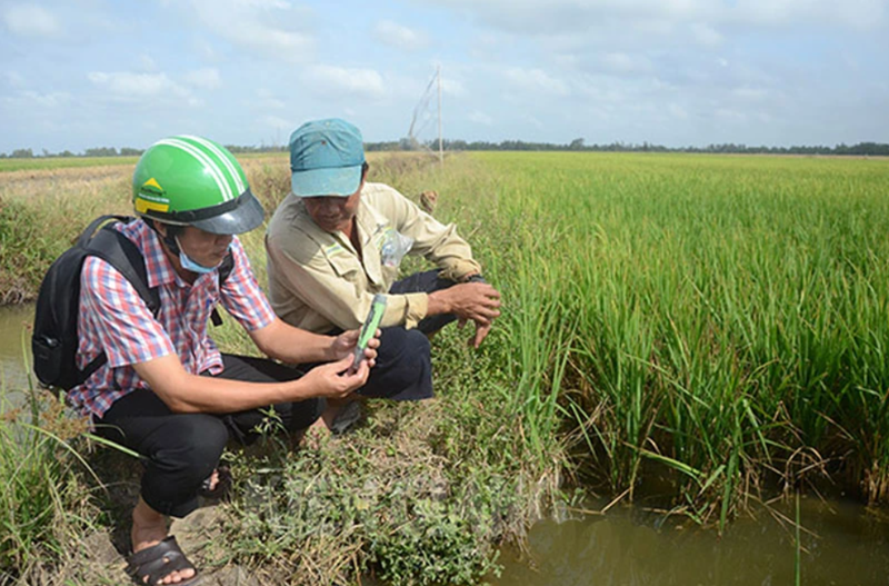 Từ ngày 21-30/4, xâm nhập mặn ở đồng bằng sông Cửu Long tiếp tục ở mức cao