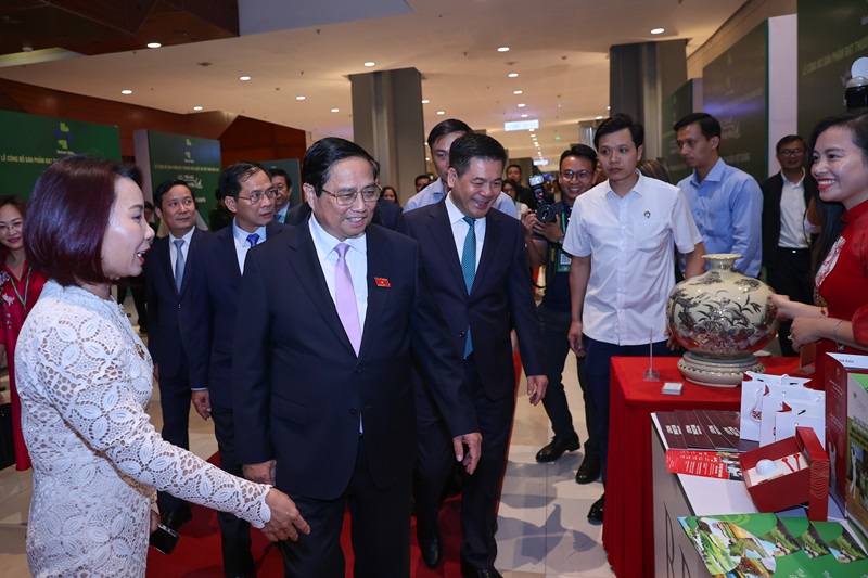 Thủ tướng: Tập trung tháo gỡ điểm nghẽn thể chế, kiên quyết, kiên trì, dứt khoát xóa bỏ cơ chế 'xin - cho', sách nhiễu