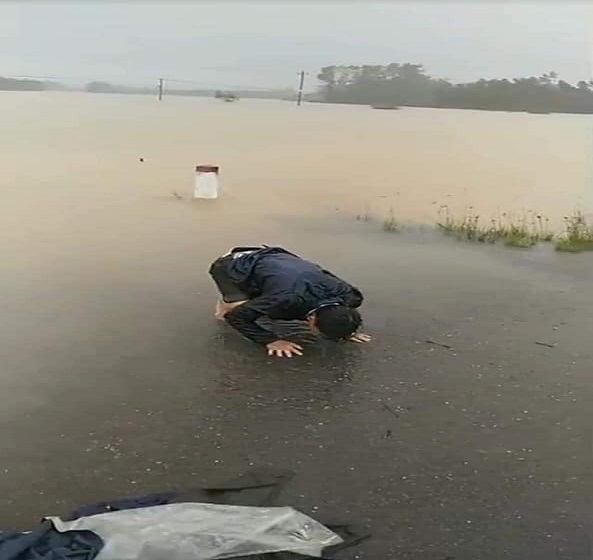 Mất rừng: Thủ phạm gây ra lũ quét, sạt lở