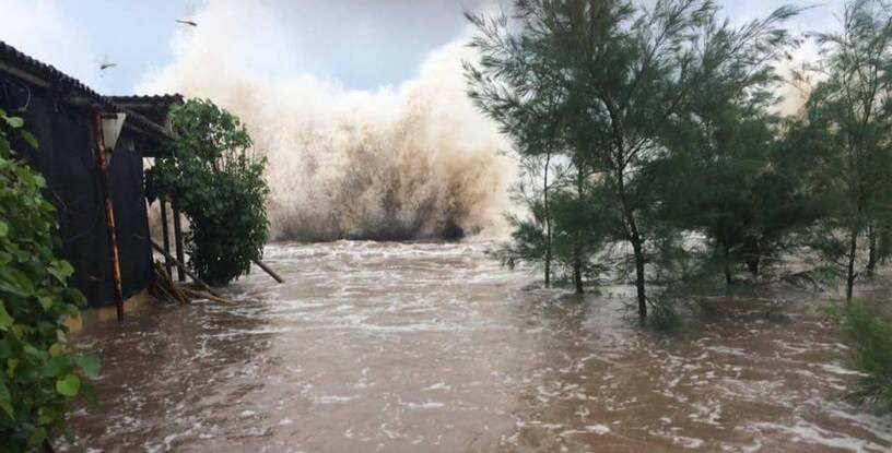 Mất rừng: Thủ phạm gây ra lũ quét, sạt lở