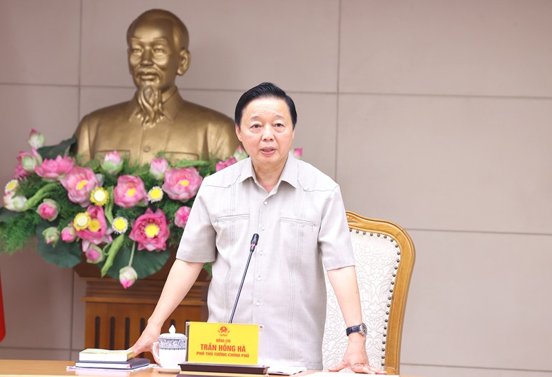 Xử lý vi phạm đất đai: Không để sót hành vi, đối tượng liên quan