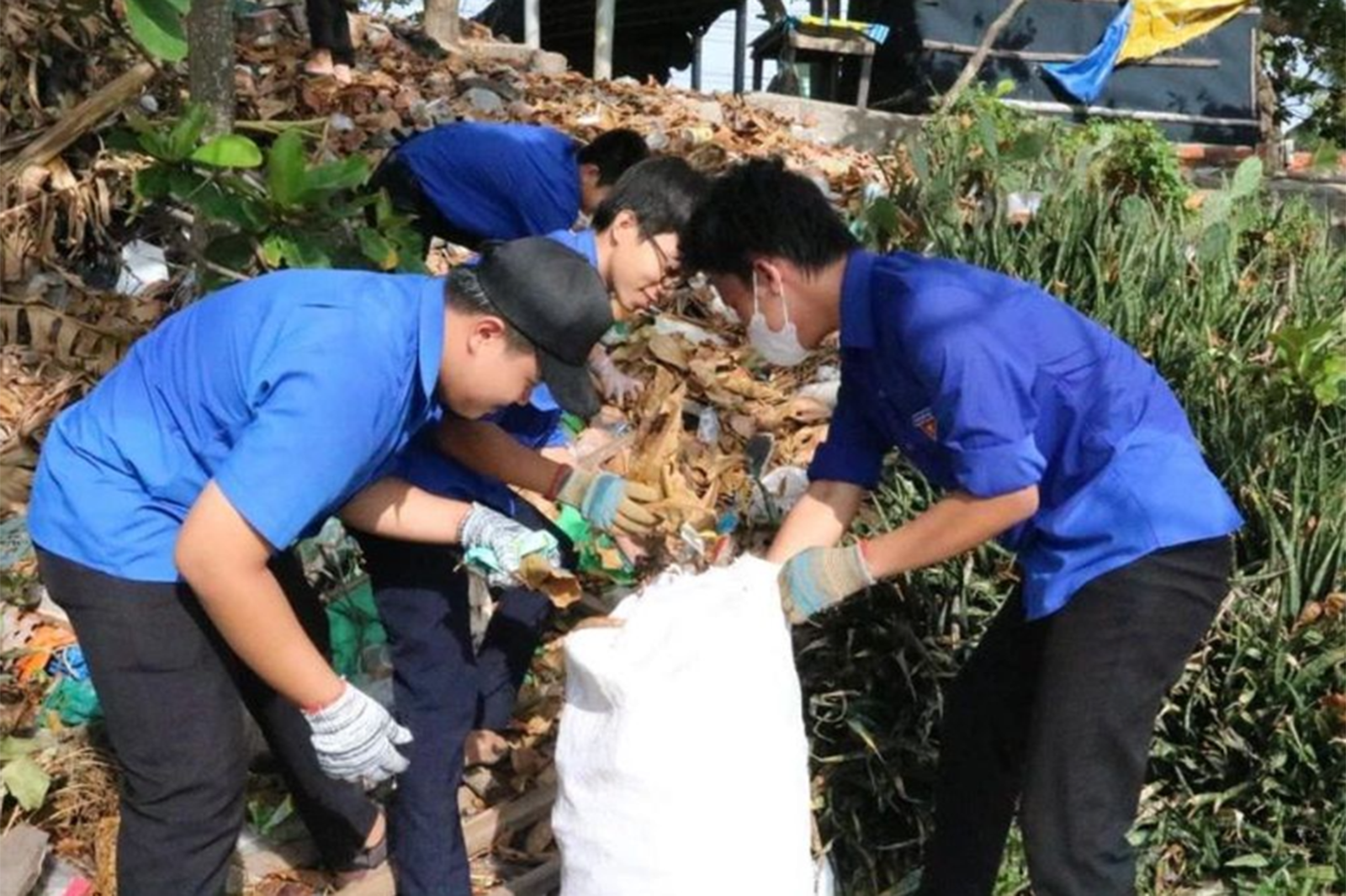 Nhiều hoạt động hưởng ứng chiến dịch làm cho thế giới sạch hơn