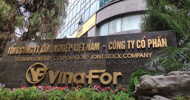 Bắc Giang: Hàng trăm hecta đất bị lấn chiếm trong thời gian dài tại huyện Yên Thế