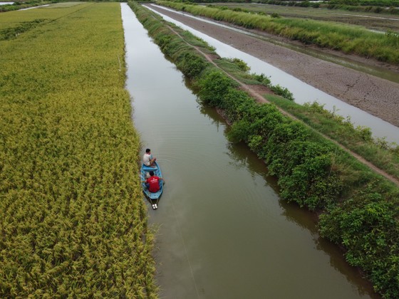 ĐBSCL chuẩn bị thích ứng khi El Nino quay lại
