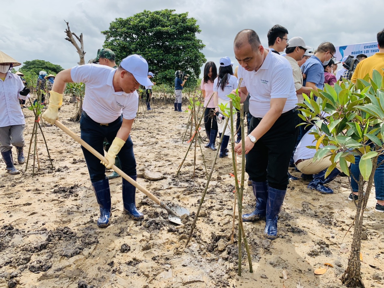 Hưởng ứng ngày Quốc tế đa dạng sinh học (22/5); Ngày môi trường thế giới (5/6) và Tháng hành động vì môi trường năm 2022