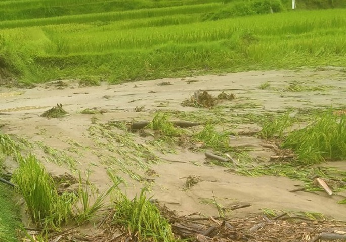 Huyện biên giới Thanh Hóa sơ tán khẩn cấp 100 hộ dân do mưa lớn, sạt lở